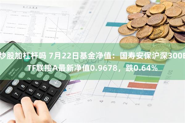 炒股加杠杆吗 7月22日基金净值：国寿安保沪深300ETF联接A最新净值0.9678，跌0.64%