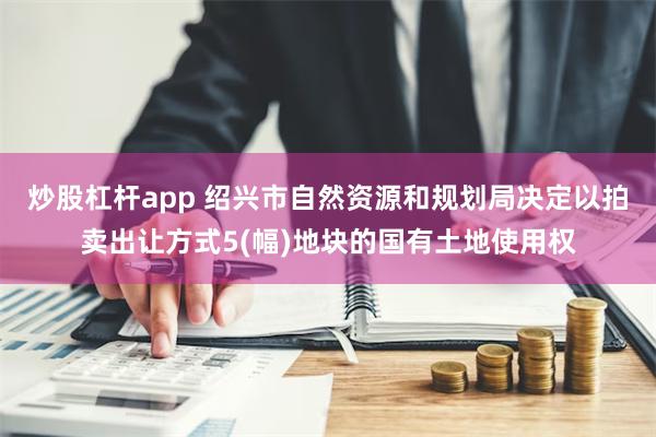 炒股杠杆app 绍兴市自然资源和规划局决定以拍卖出让方式5(