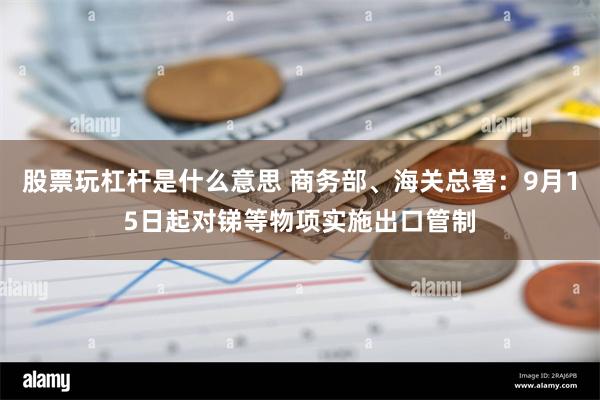 股票玩杠杆是什么意思 商务部、海关总署：9月15日起对锑等物