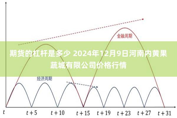 期货的杠杆是多少 2024年12月9日河南内黄果蔬城有限公司价格行情