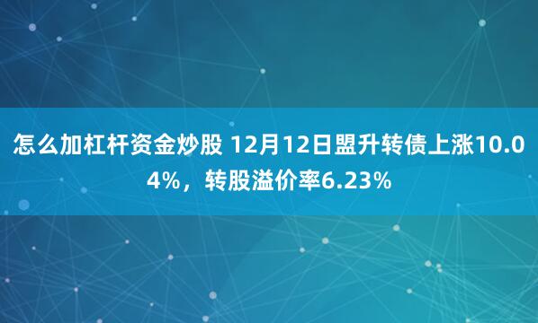 怎么加杠杆资金炒股 12月12日盟升转债上涨10.04%，转股溢价率6.23%