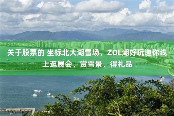 关于股票的 坐标北大湖雪场，ZOL潮好玩邀你线上逛展会、赏雪景、得礼品