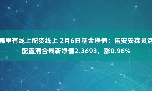 哪里有线上配资线上 2月6日基金净值：诺安安鑫灵活配置混合最新净值2.3693，涨0.96%