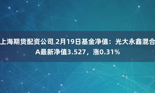 上海期货配资公司 2月19日基金净值：光大永鑫混合A最新净值3.527，涨0.31%